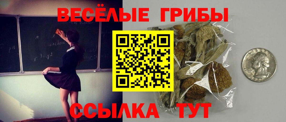 Рассказово  Псилоцибиновые грибы Psilocybine cubensis  Вход с VPN 