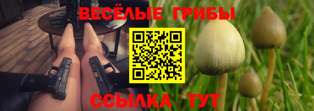 Галлюциногенные грибы Cubensis Рассказово